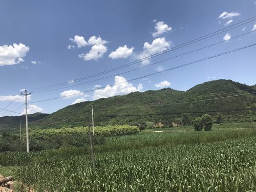 雙龍的山溝