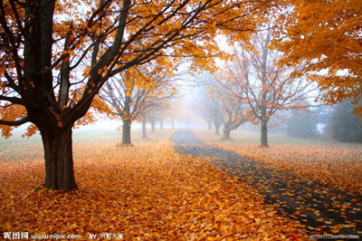 九月的秋