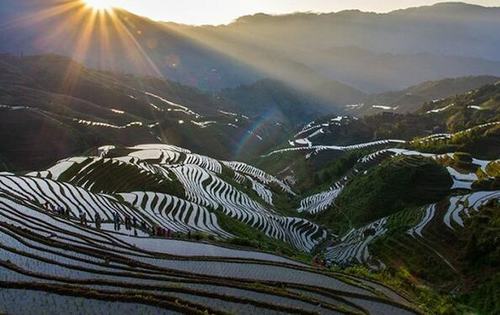龍脊梯田
