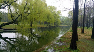 春夏秋冬