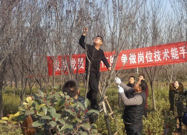 發(fā)揮黨員先鋒模范作用  上好園林技能必修課