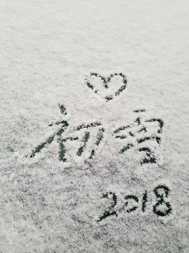 久盼的雪