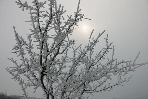 廟山踏雪