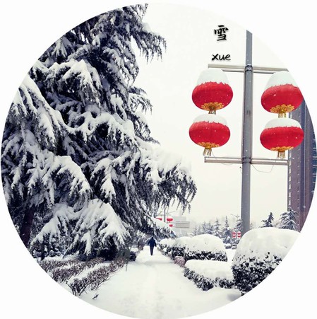 雪，寒冬里的溫柔