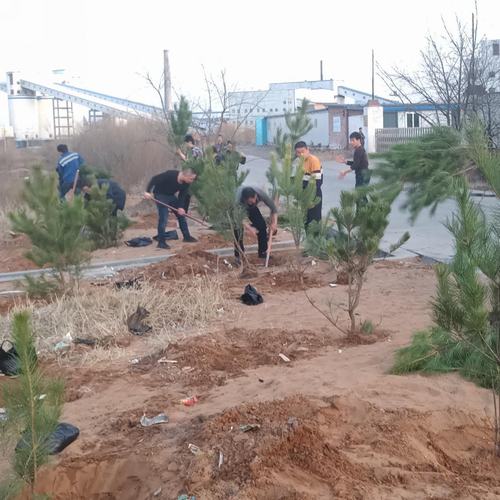 洗選煤運(yùn)營(yíng)公司洗煤廠： 開(kāi)展“植樹造林美化家園”活動(dòng)