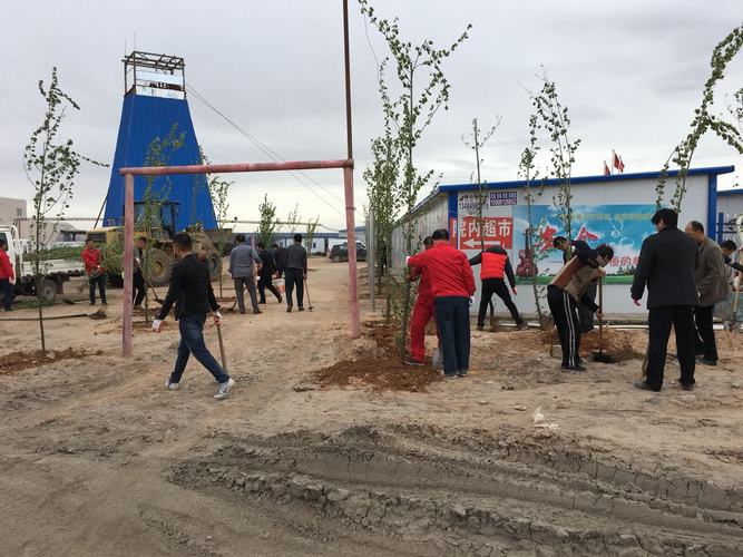 我為沙漠添點(diǎn)綠