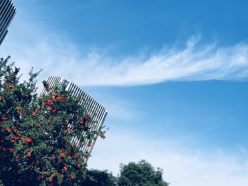 碧空萬(wàn)里