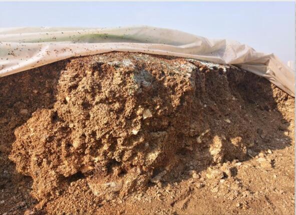 “廢料”變“肥料”，蘑菇包在土壤改良中的應(yīng)用