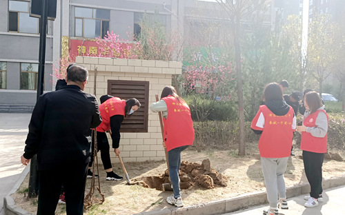 陜煤建設(shè)公司：開(kāi)展綠化補(bǔ)種 打造美好家園