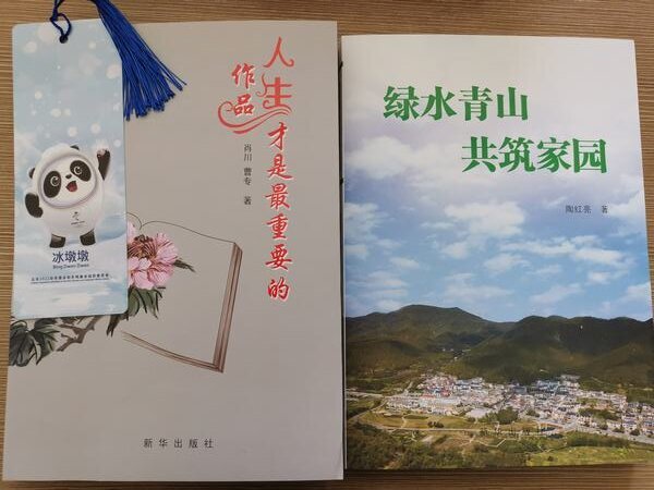 愿你如書