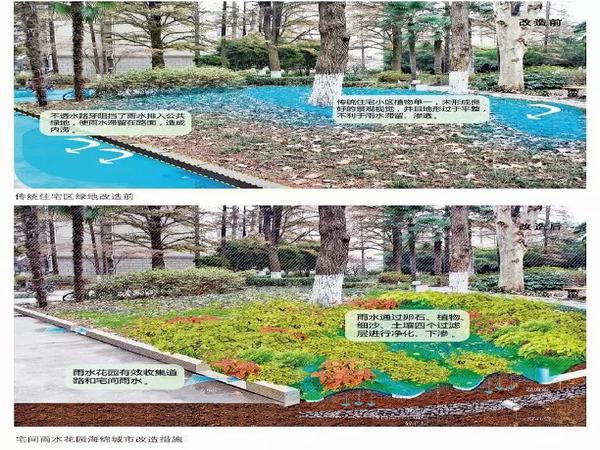 陜煤建設(shè)設(shè)計研究院：銅川市王益區(qū)虎頭小區(qū)老舊小區(qū)改造海綿城市建設(shè)設(shè)計圓滿完成