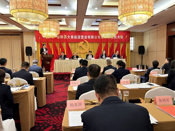 陜西大秦能源置業(yè)有限公司召開第二次全體黨員大會
