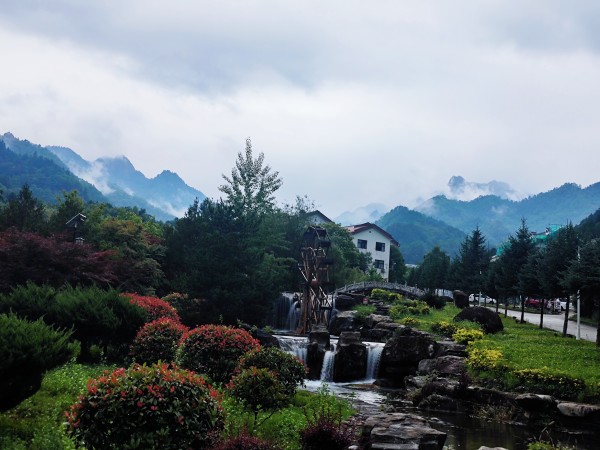 在木王山，遇見21℃的夏天