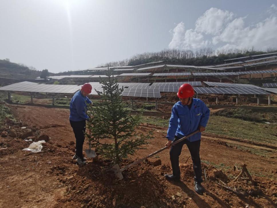 陜煤建設西北分公司機電安裝項目部： 全員參與，共筑綠色屏障