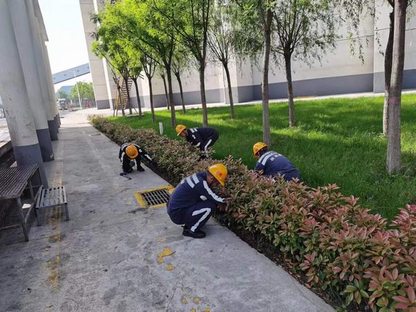 陜煤建設(shè)洗選煤運(yùn)營(yíng)公司神渭蒲城運(yùn)營(yíng)項(xiàng)目部：逐”綠”而行 向”綠”而興！廠區(qū)綠化在行動(dòng)
