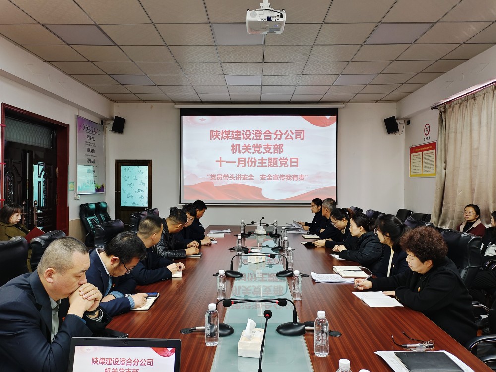 陜煤建設(shè)澄合分公司機關(guān)黨支部開展“黨建引領(lǐng)聚合力 安全護(hù)航促發(fā)展”主題黨日活動