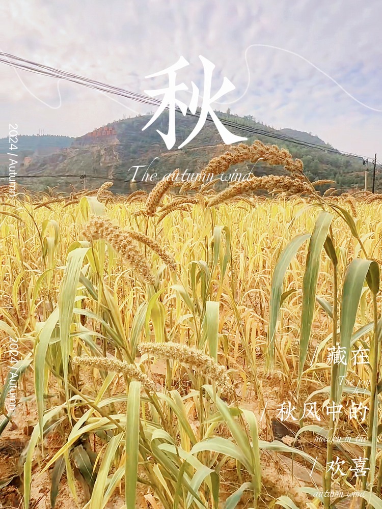 我的陜北生活