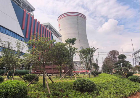 陜煤建設(shè)西北分公司：綠意盎然入電廠，生態(tài)建設(shè)譜新章