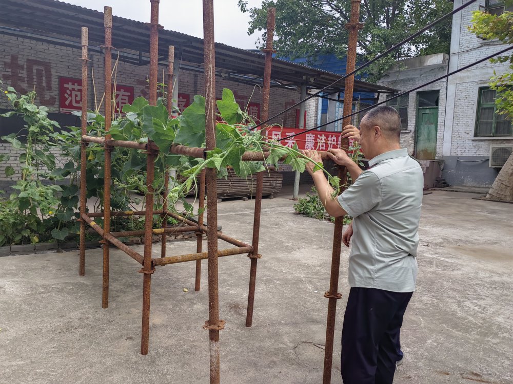 平凡堅守，織就的那些暖心緣