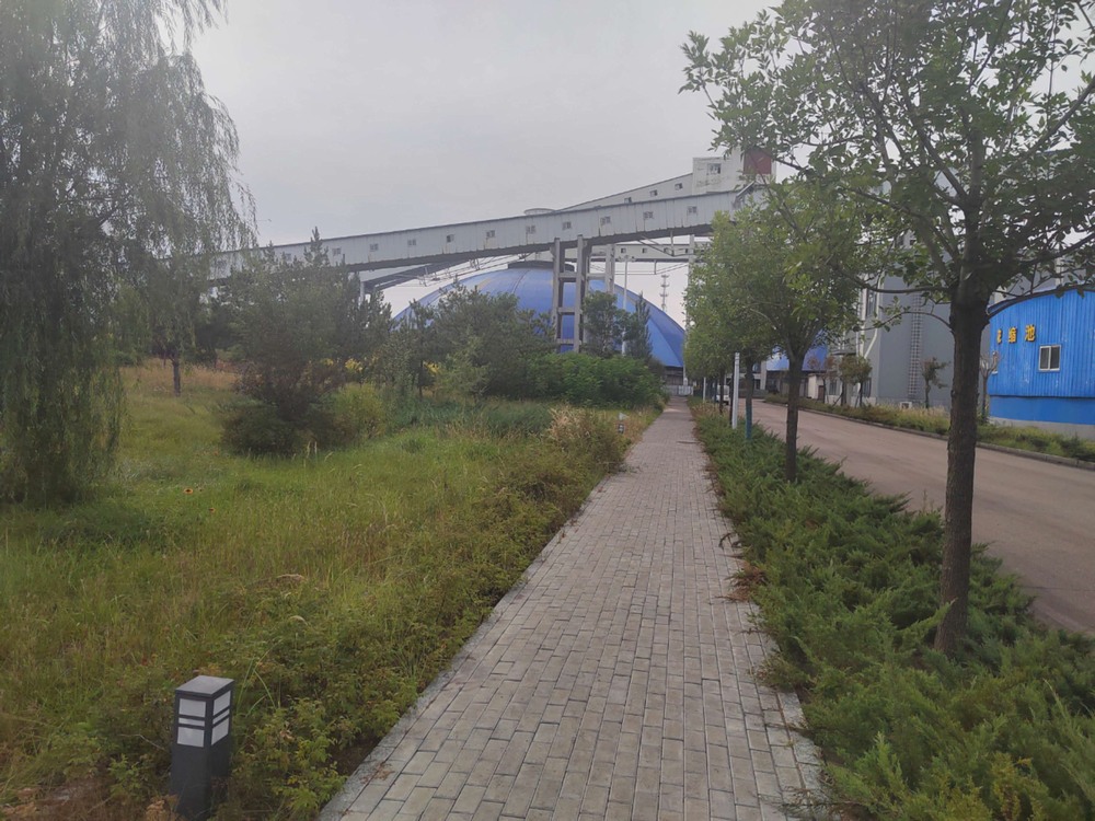 陜煤建設(shè)洗選煤運(yùn)營(yíng)公司紅柳林洗煤廠項(xiàng)目部：秋韻里的安全堅(jiān)守與生產(chǎn)奮進(jìn)