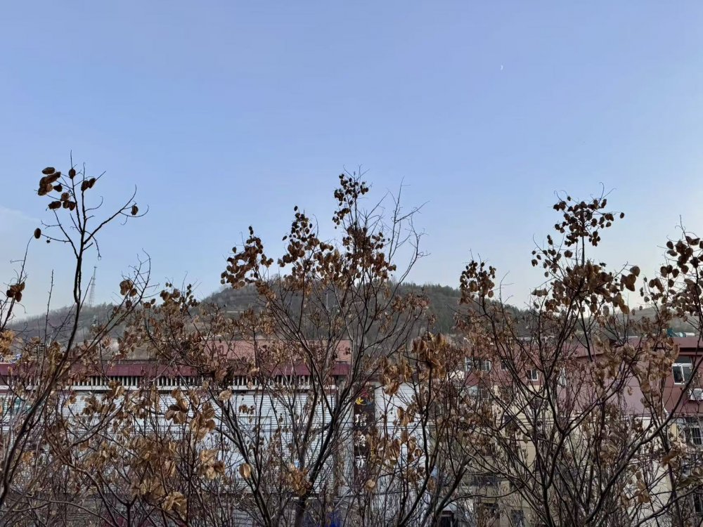 秋意漸濃時(shí)，回望來時(shí)路