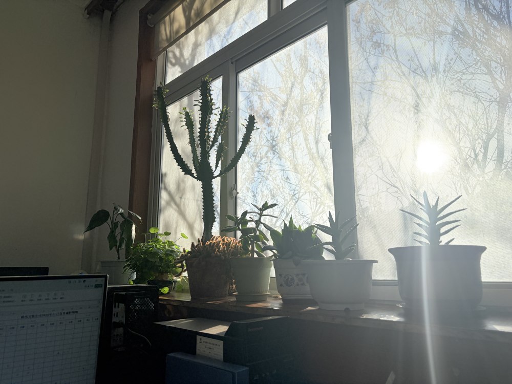 冬陽正好，步履鏗鏘