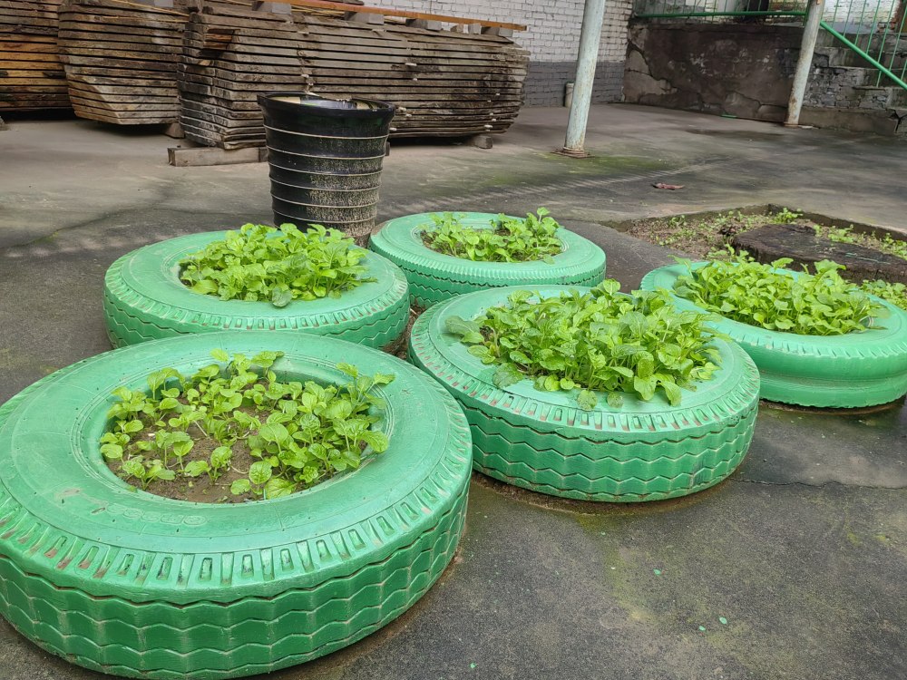 創(chuàng)意無休，廢舊輪胎也能C位出道