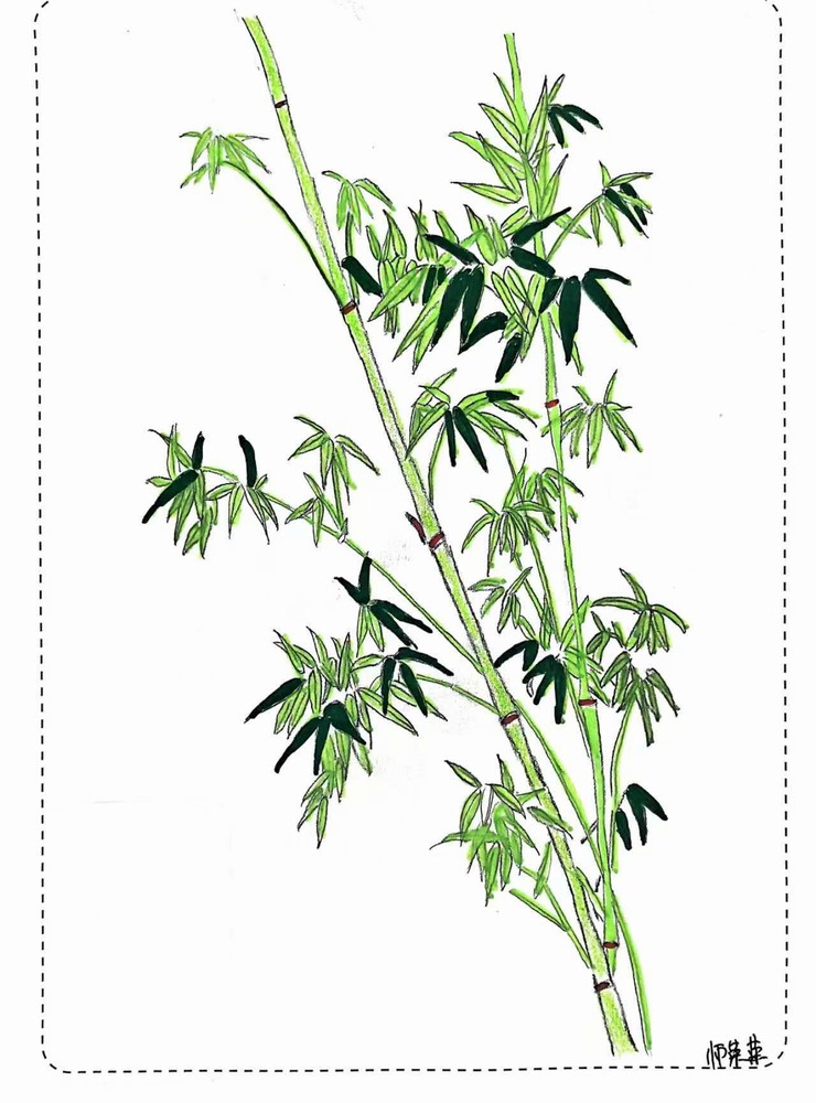 漫說(shuō)廉潔！這組“草木廉盟”太可了