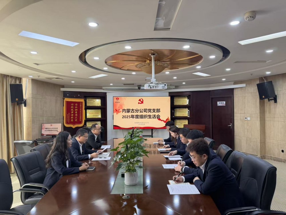 陜煤建設(shè)內(nèi)蒙古分公司召開2025年度組織生活會(huì)暨民主評議黨員工作
