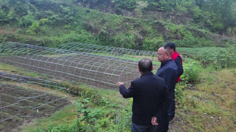 陜煤建設(shè)定點幫扶村：情系幫扶戶 共謀振興路