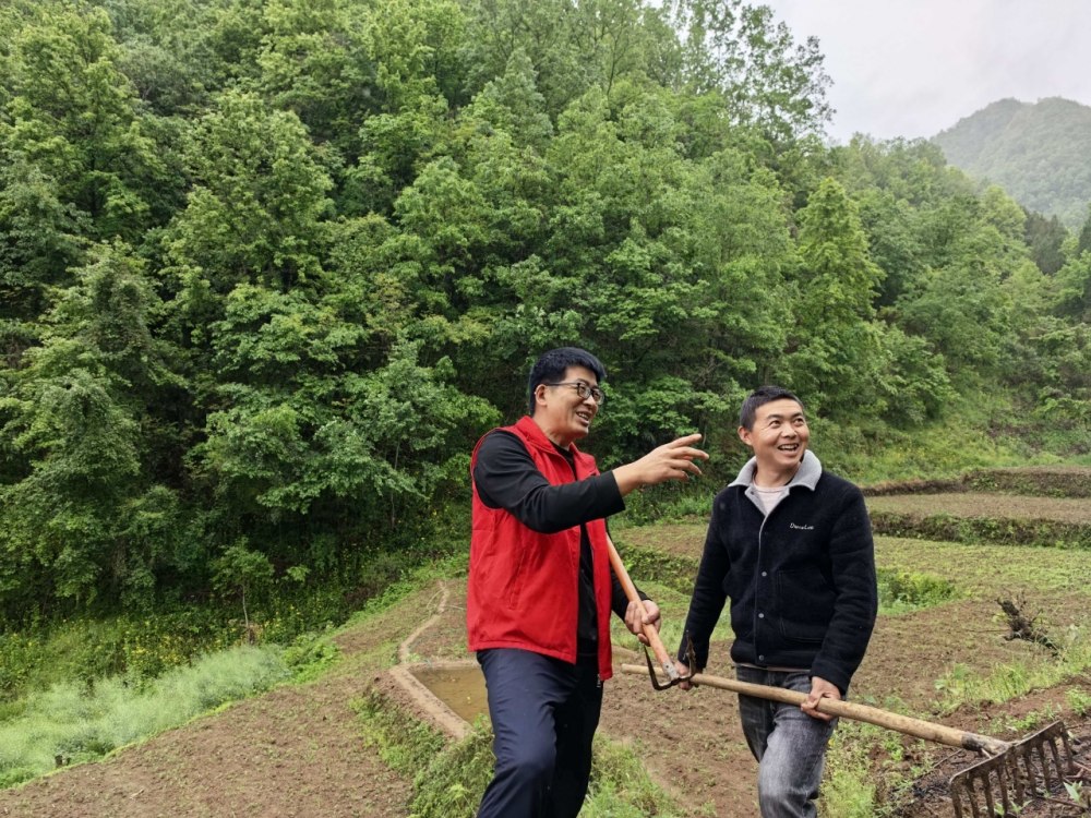 雨生百谷，情滿山村
